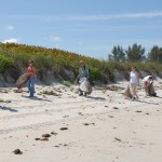 beachclean beachclean