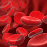 redbloodcells